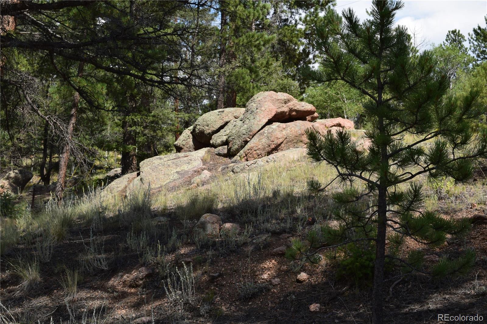 93 Kiowa Creek Trail Florissant CO 80816
