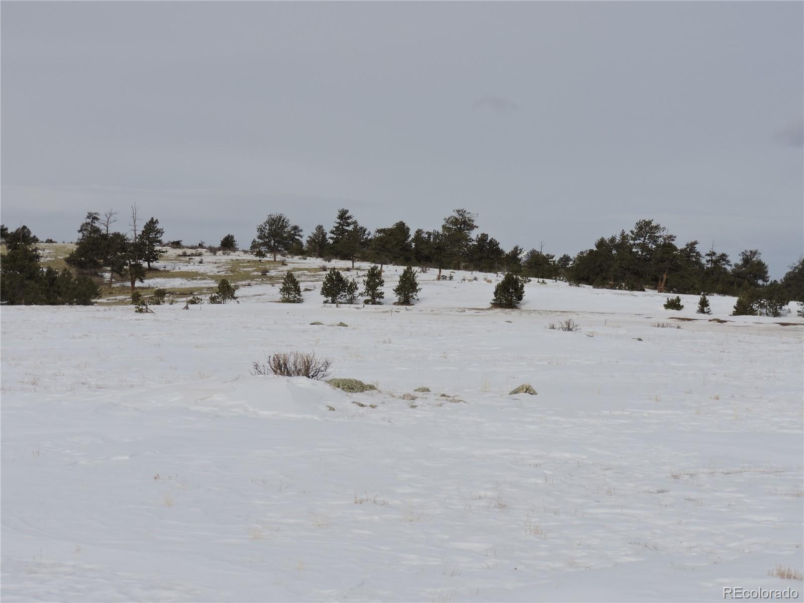2418 Goldenburg Canyon Road Hartsel CO 80449