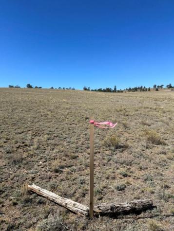 2418 Goldenburg Canyon Road Hartsel CO 80449