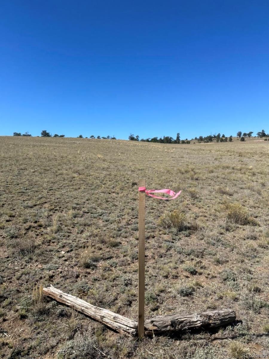 2418 Goldenburg Canyon Road Hartsel CO 80449