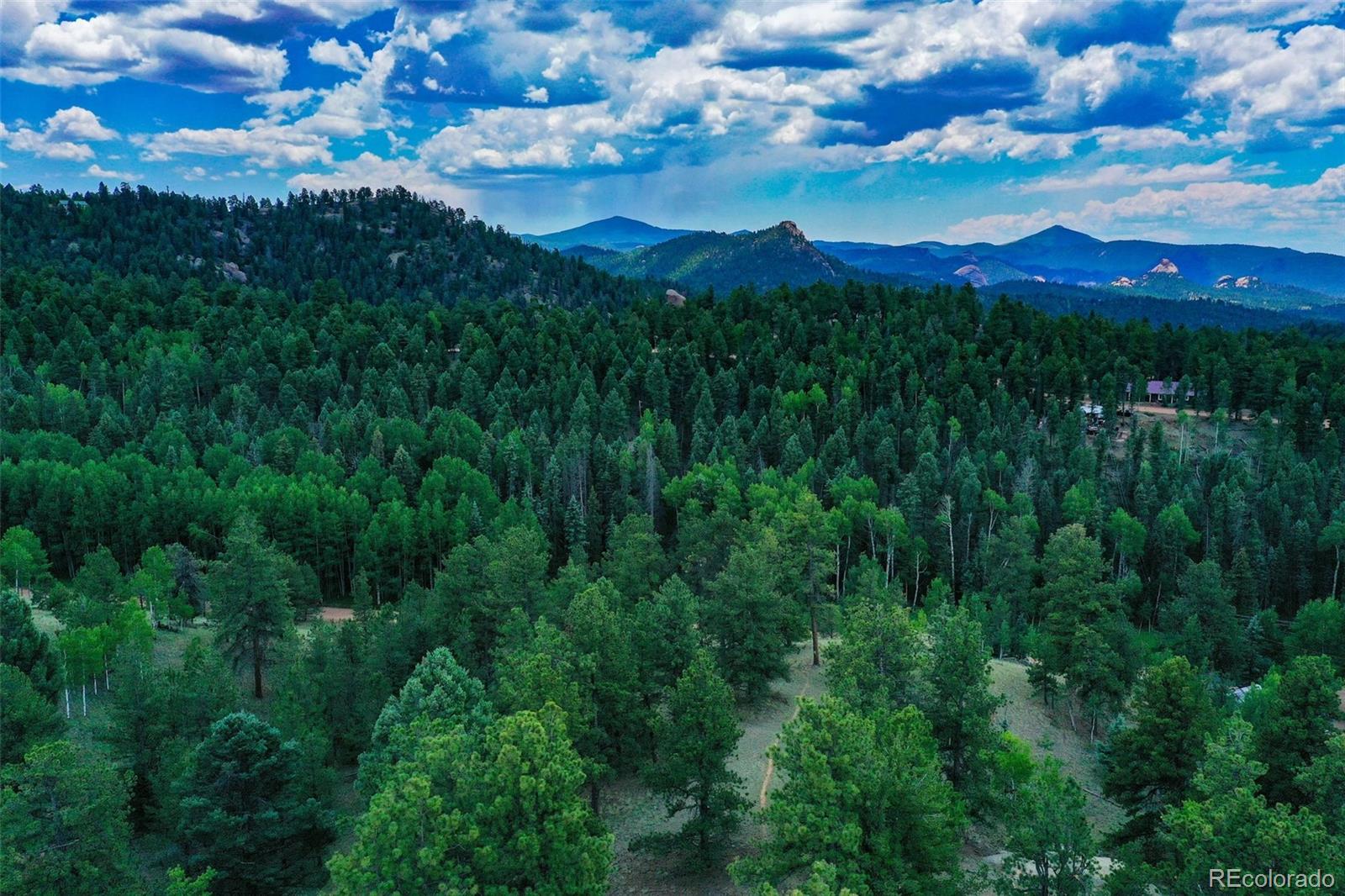 525 Spring Valley Lane Florissant CO 80816