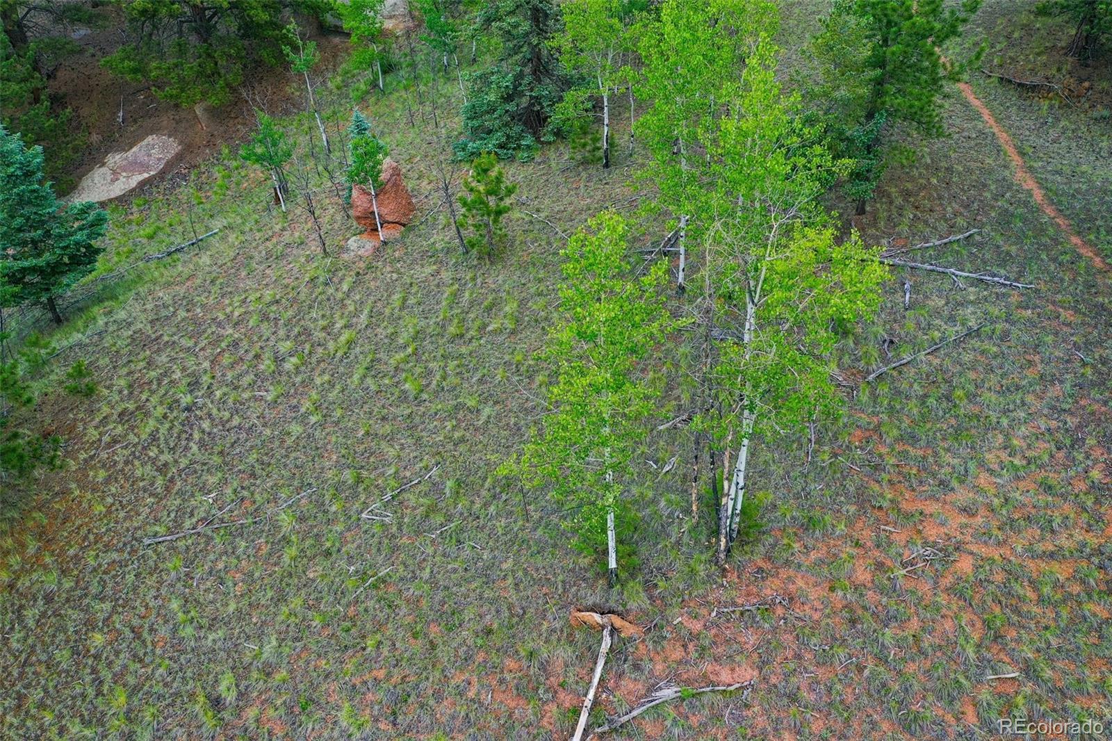 525 Spring Valley Lane Florissant CO 80816