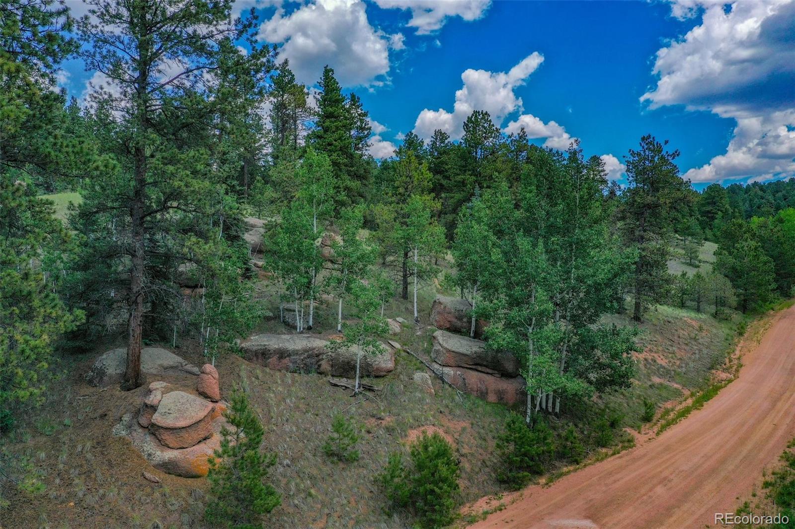 525 Spring Valley Lane Florissant CO 80816