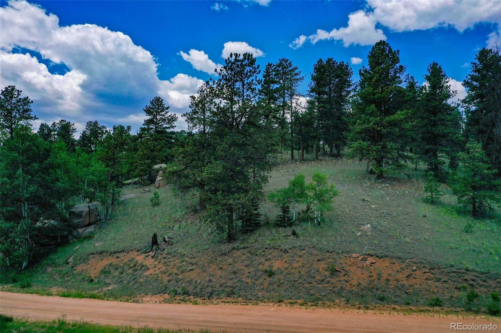 525 Spring Valley Lane Florissant CO 80816