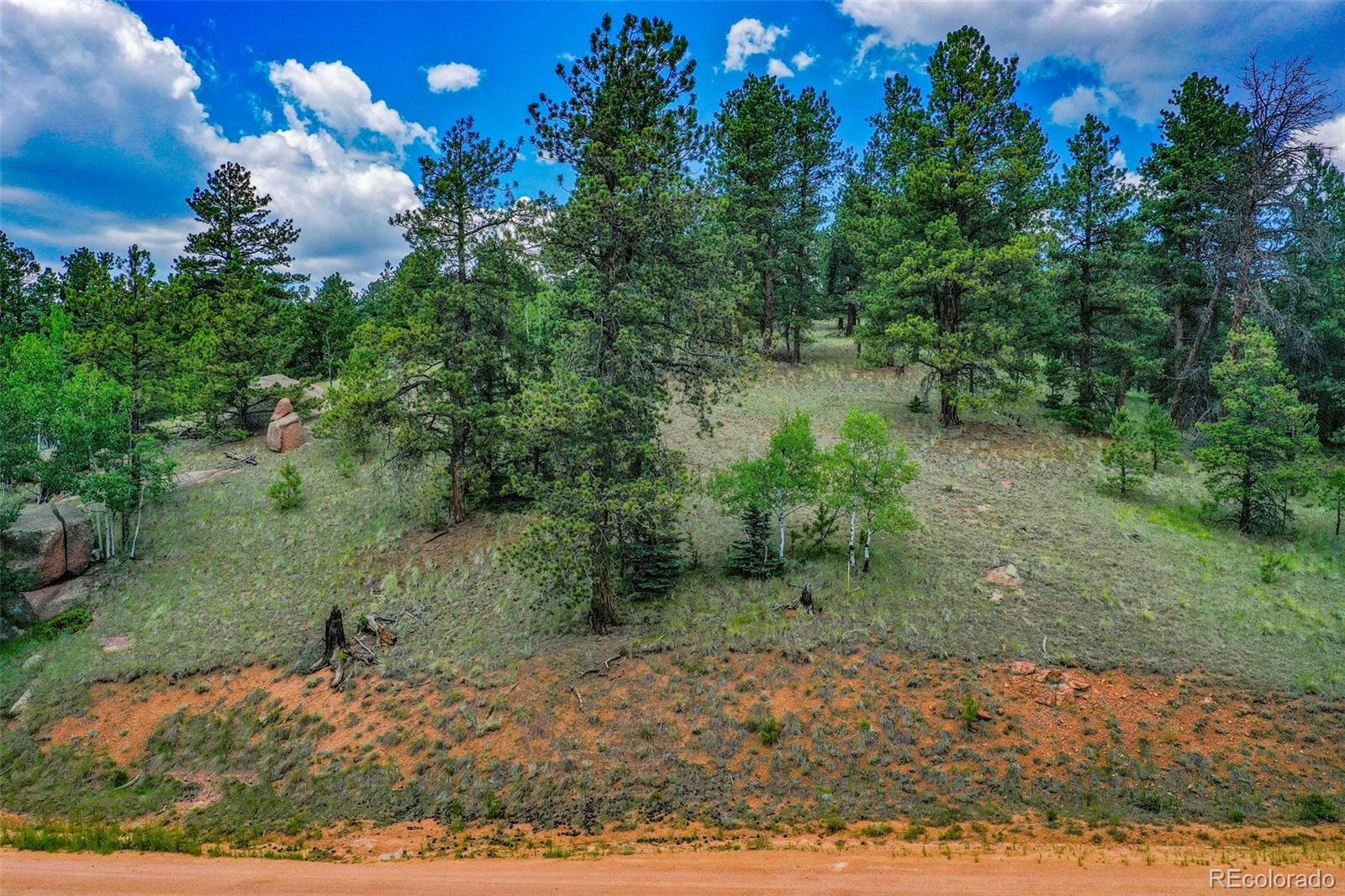 525 Spring Valley Lane Florissant CO 80816