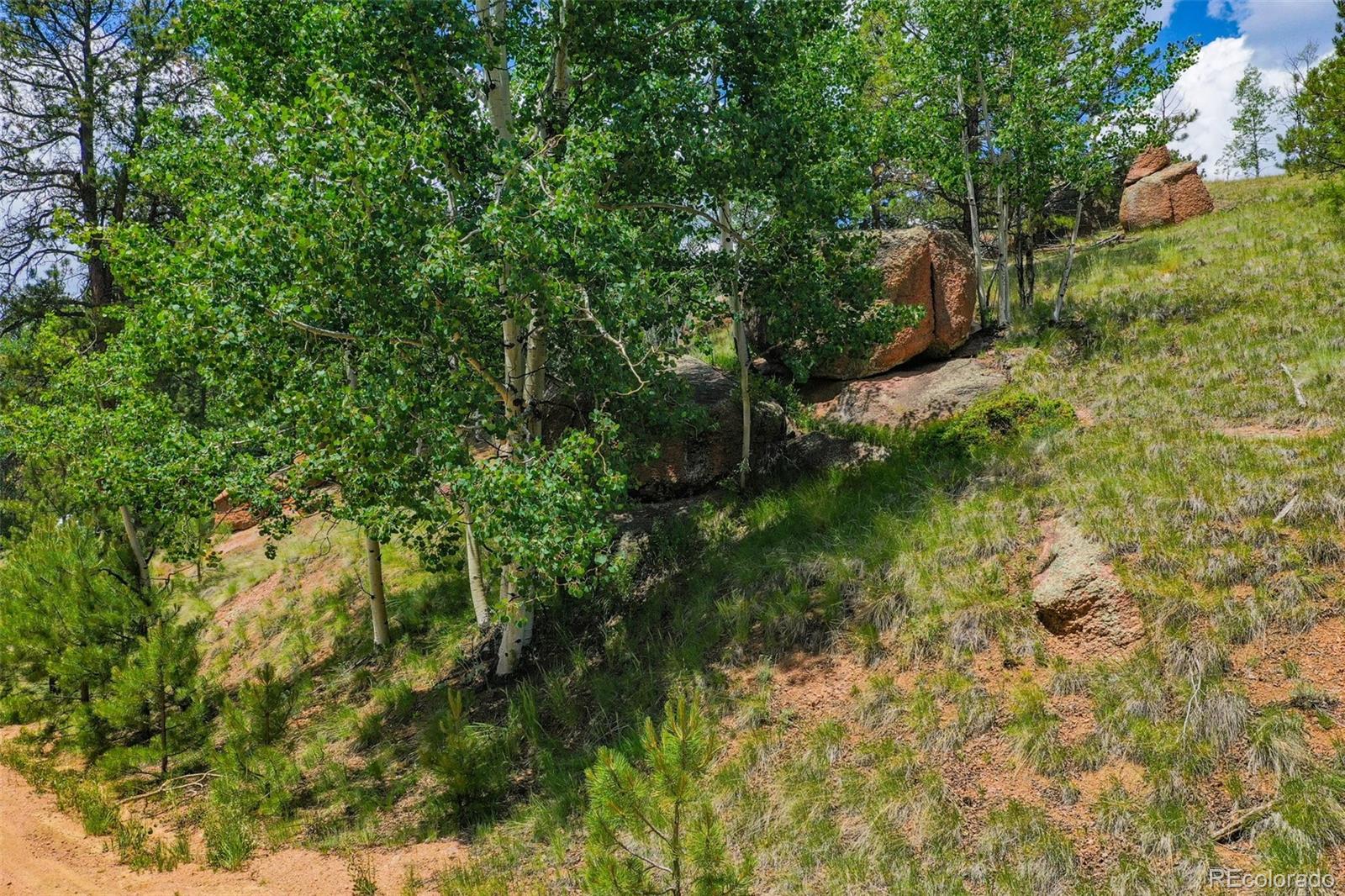 525 Spring Valley Lane Florissant CO 80816