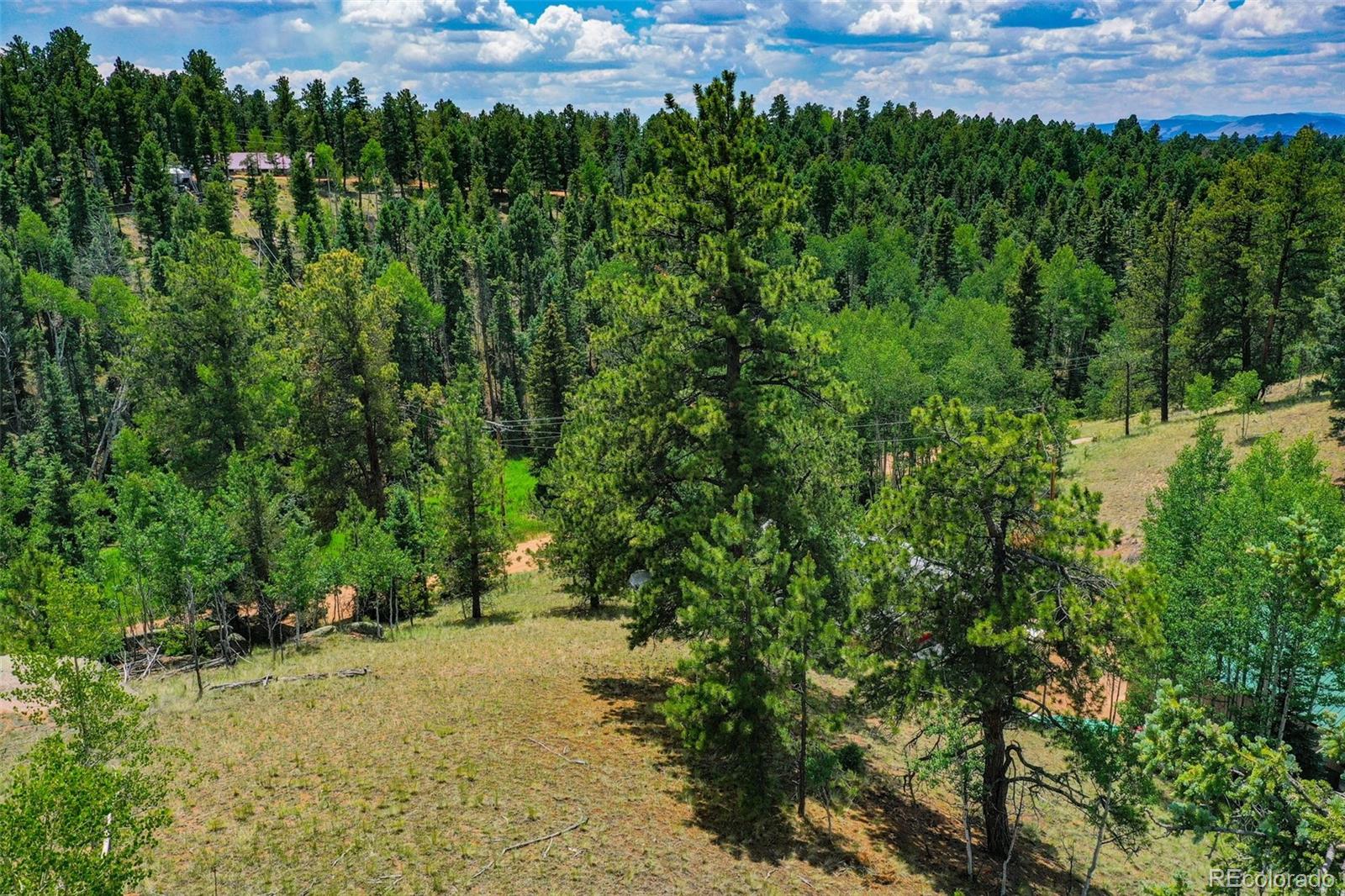 525 Spring Valley Lane Florissant CO 80816