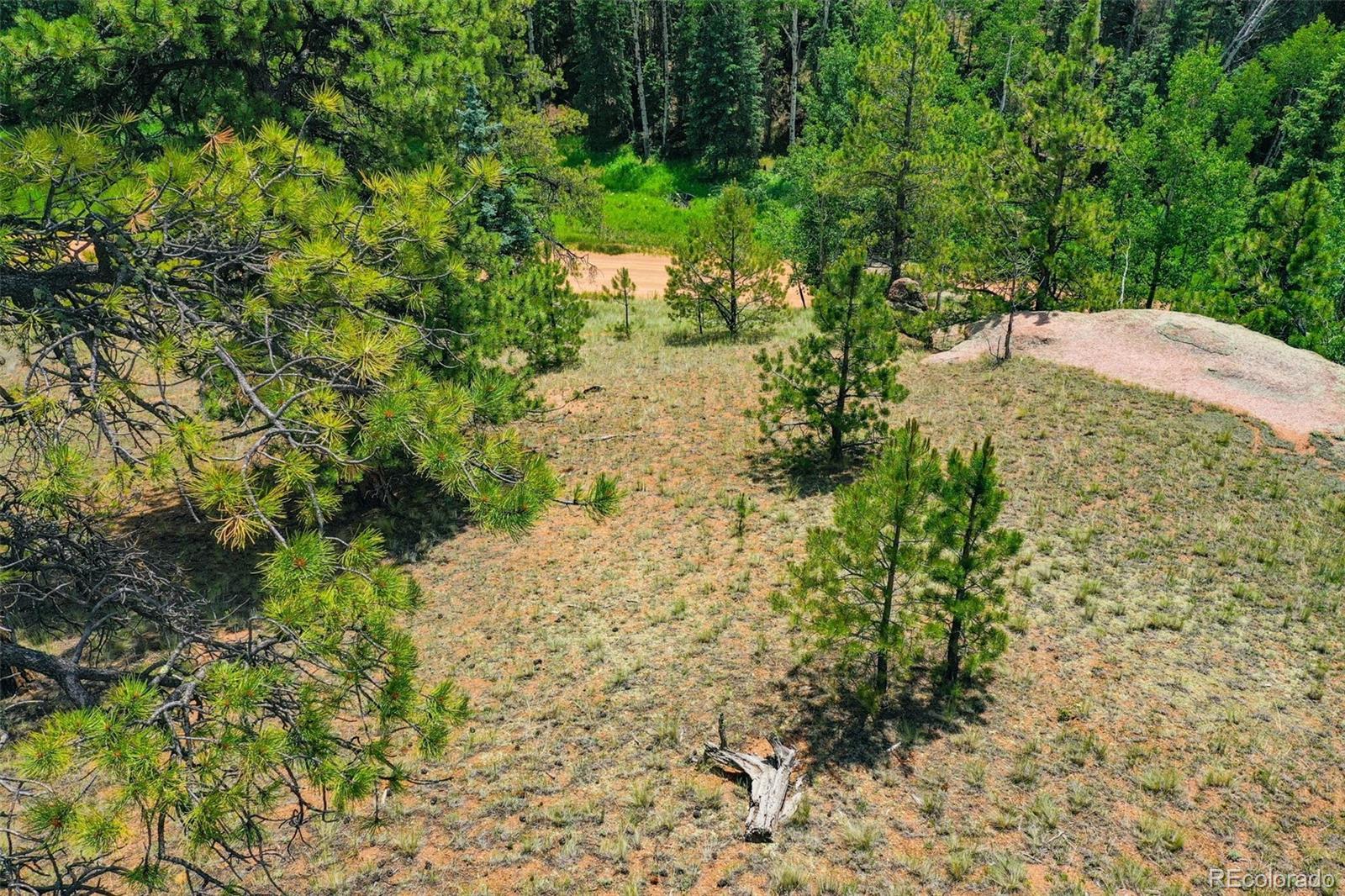 525 Spring Valley Lane Florissant CO 80816