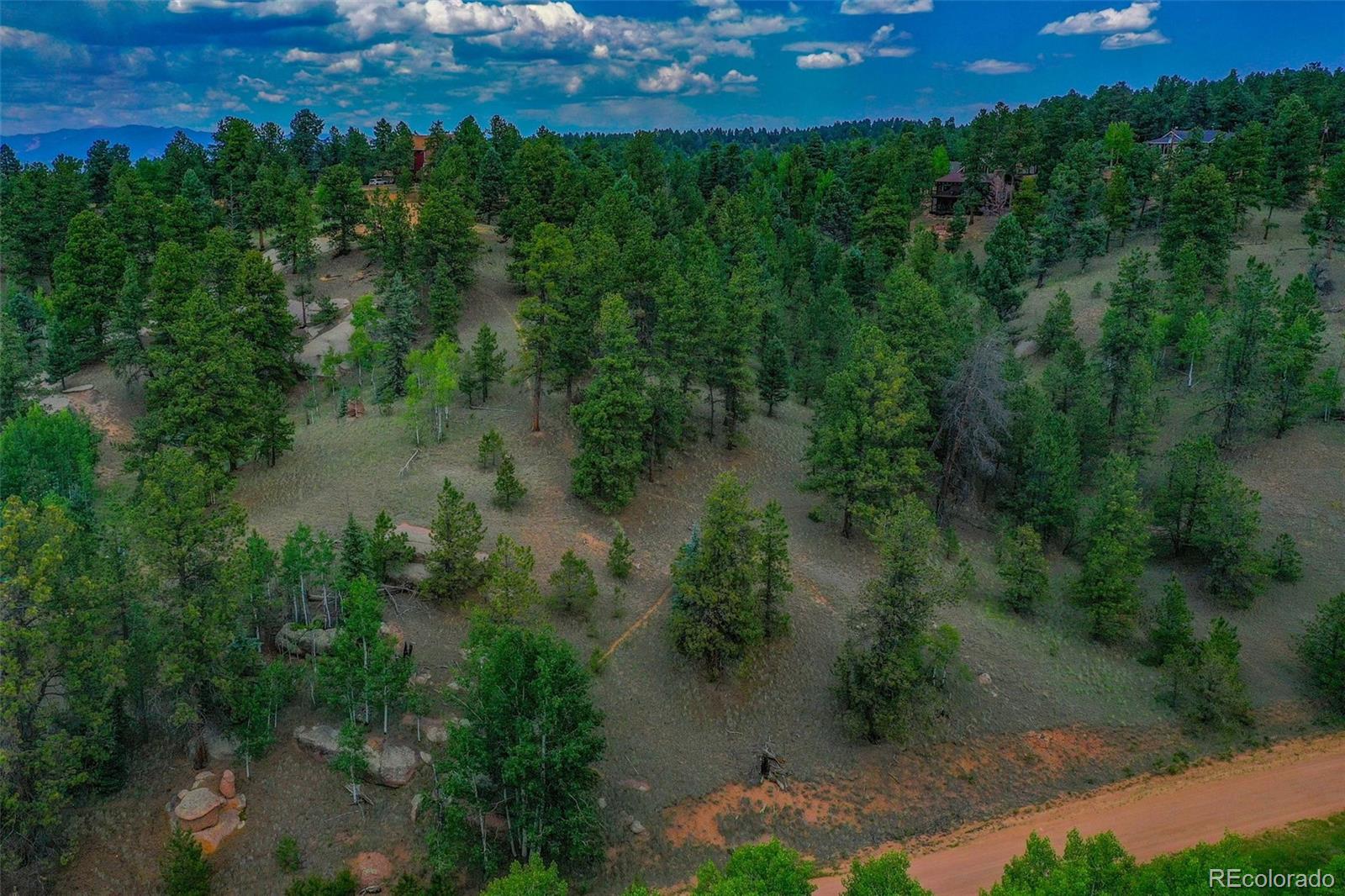 525 Spring Valley Lane Florissant CO 80816