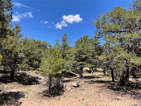 801 Sunrise Crestone CO 81131