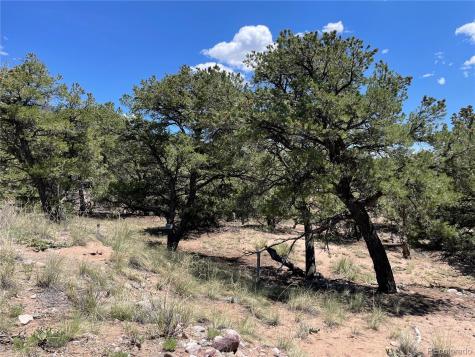 801 Sunrise Crestone CO 81131