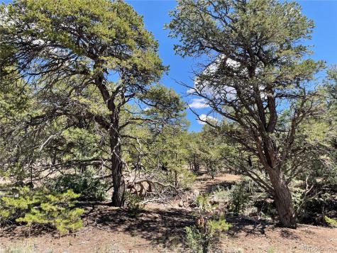 801 Sunrise Crestone CO 81131