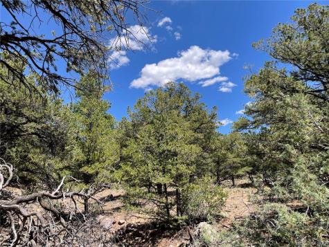 801 Sunrise Crestone CO 81131