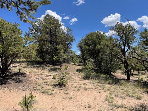 801 Sunrise Crestone CO 81131