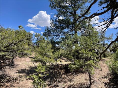 801 Sunrise Crestone CO 81131