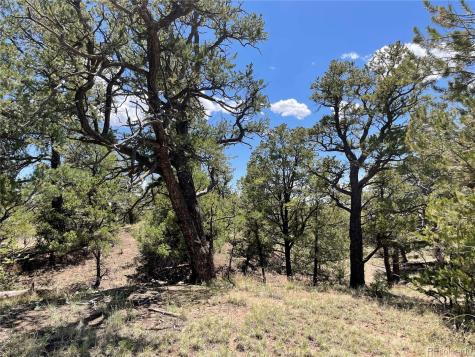 801 Sunrise Crestone CO 81131