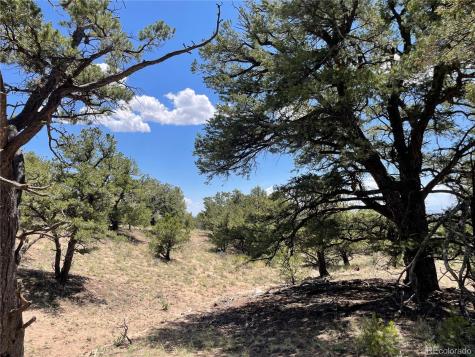 801 Sunrise Crestone CO 81131