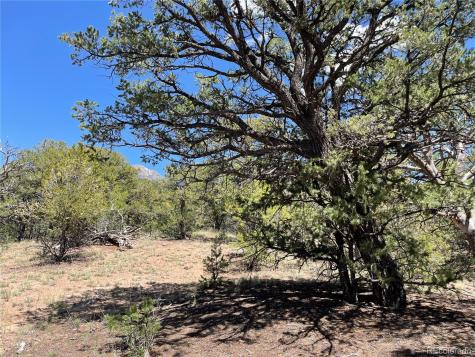 801 Sunrise Crestone CO 81131