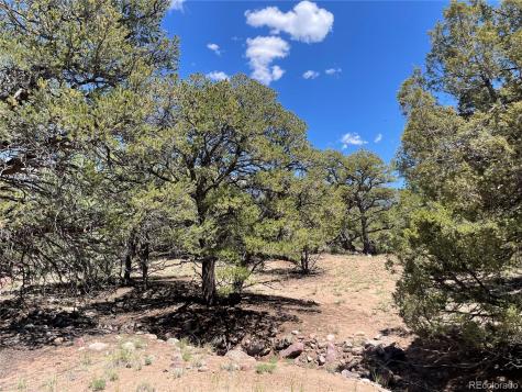 801 Sunrise Crestone CO 81131