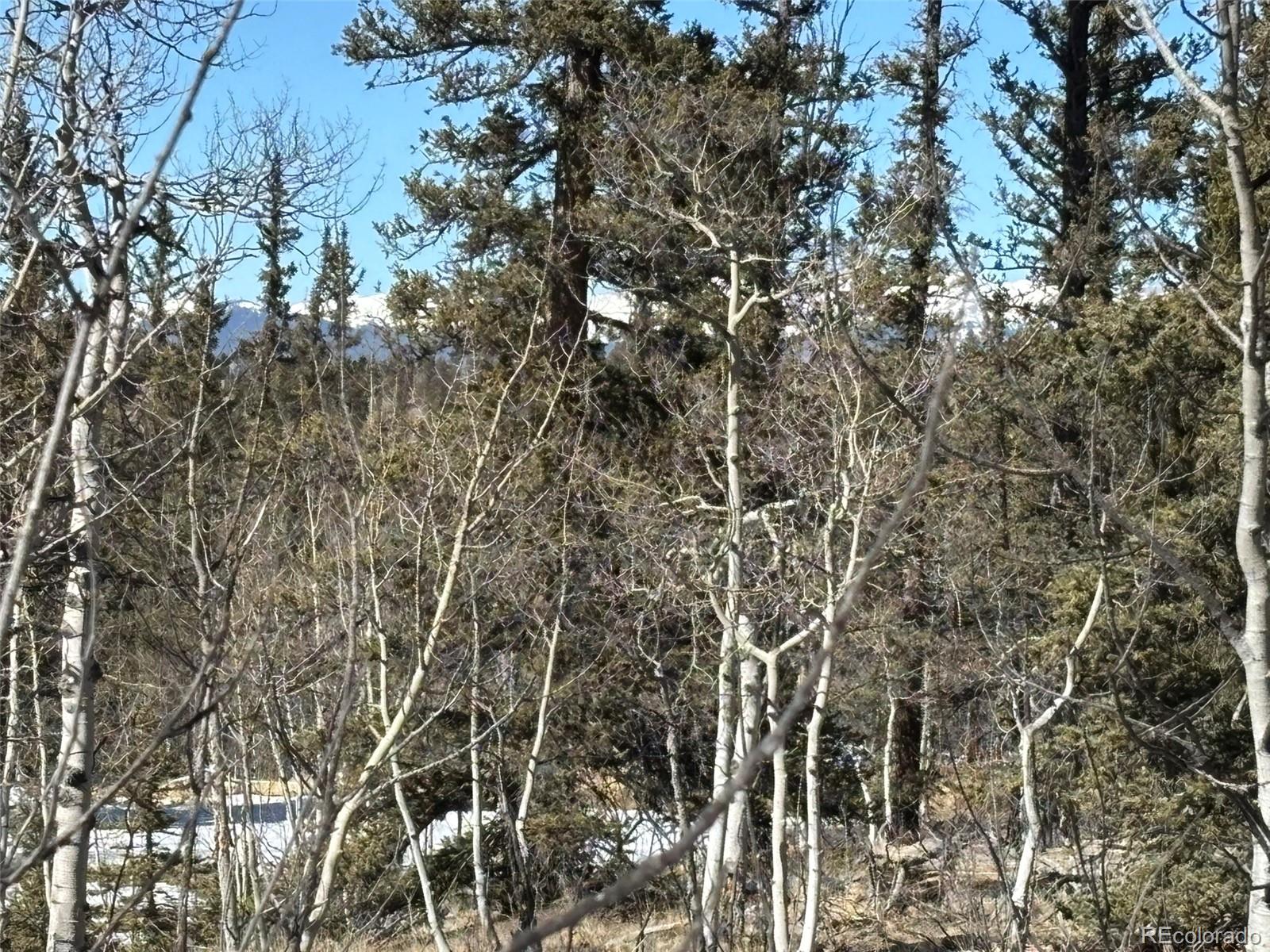 192 Bear Way Como CO 80432
