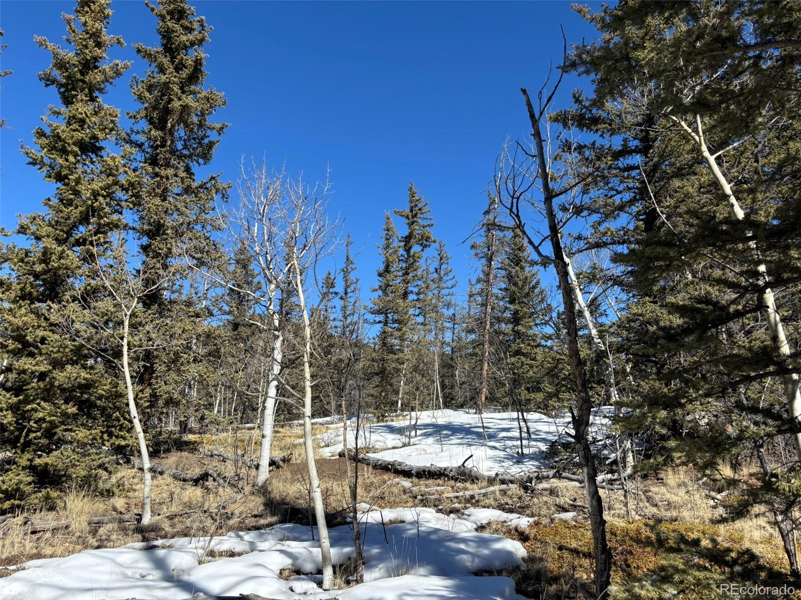 192 Bear Way Como CO 80432
