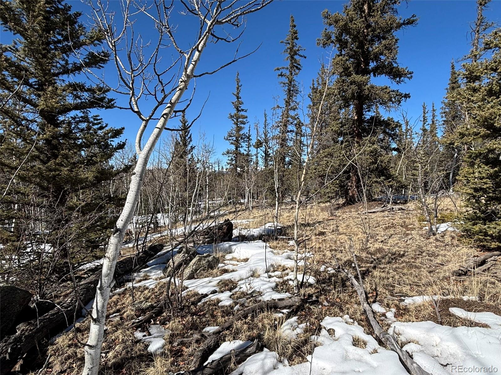 192 Bear Way Como CO 80432