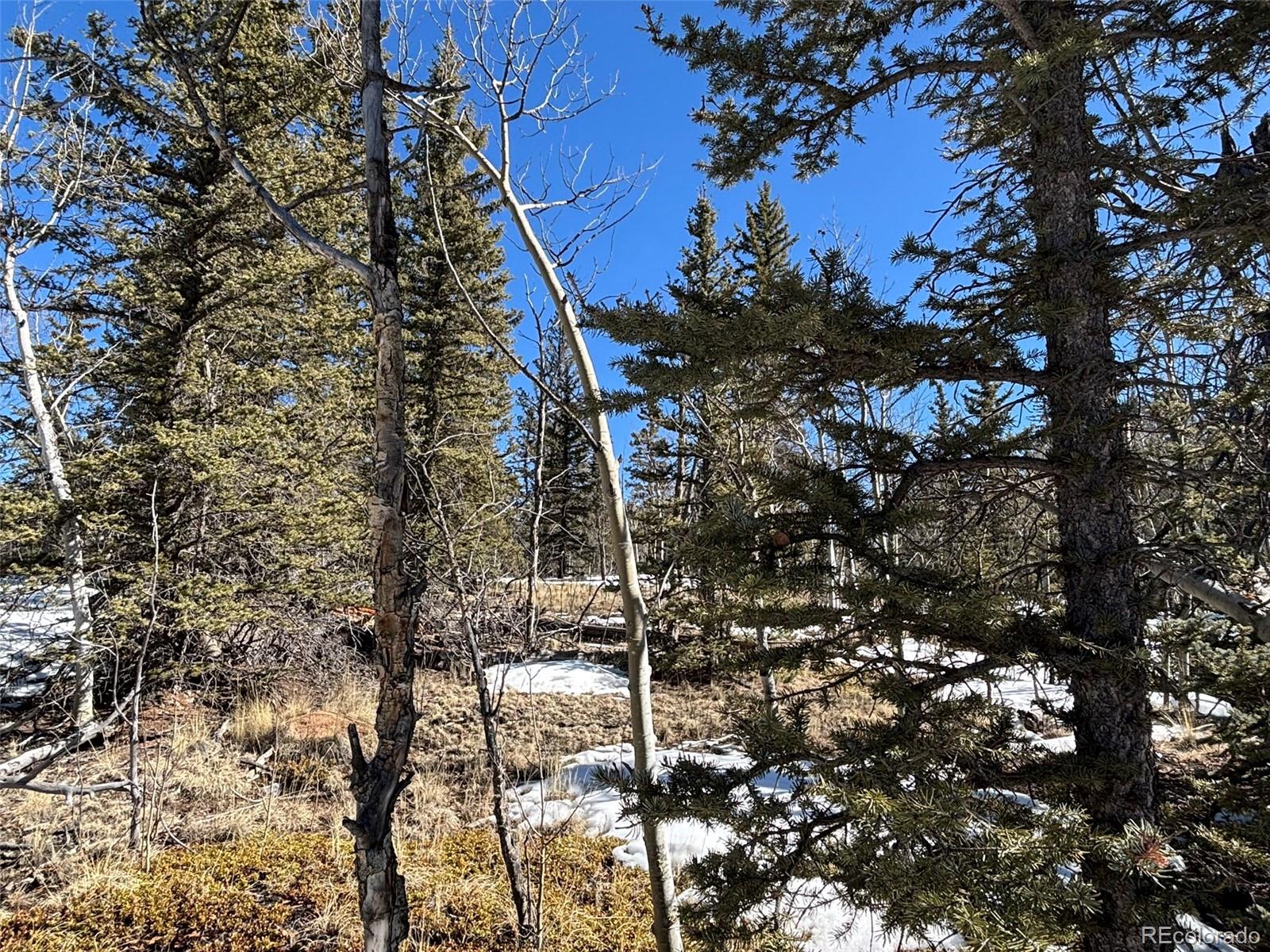 192 Bear Way Como CO 80432