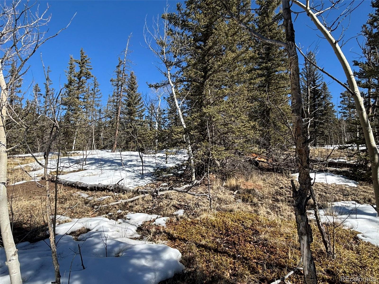 192 Bear Way Como CO 80432