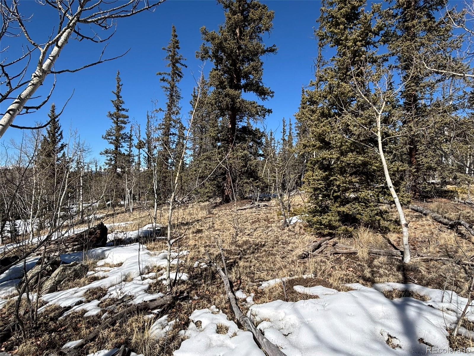 192 Bear Way Como CO 80432