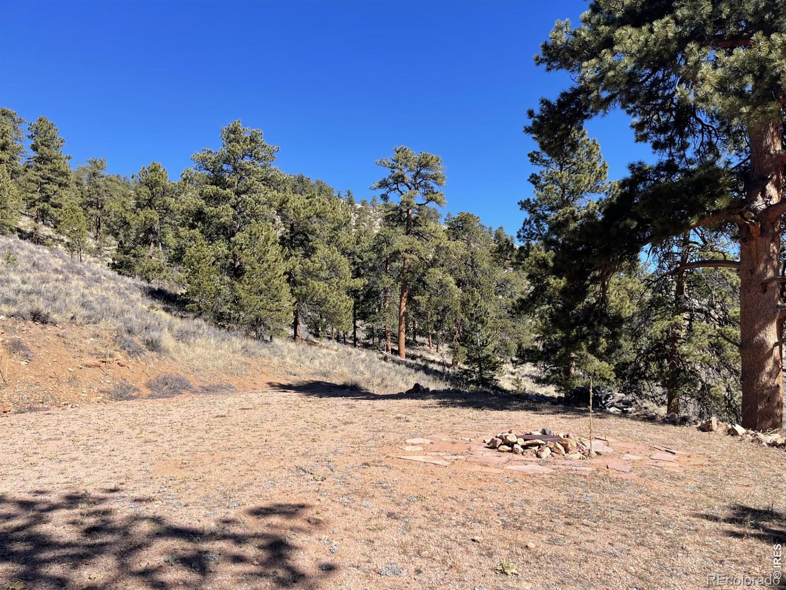 1018 Beartrap Road Red Feather Lakes CO 80545