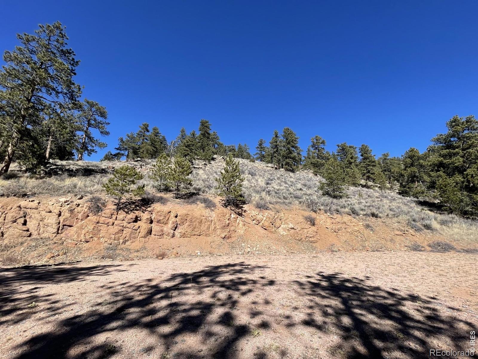 1018 Beartrap Road Red Feather Lakes CO 80545