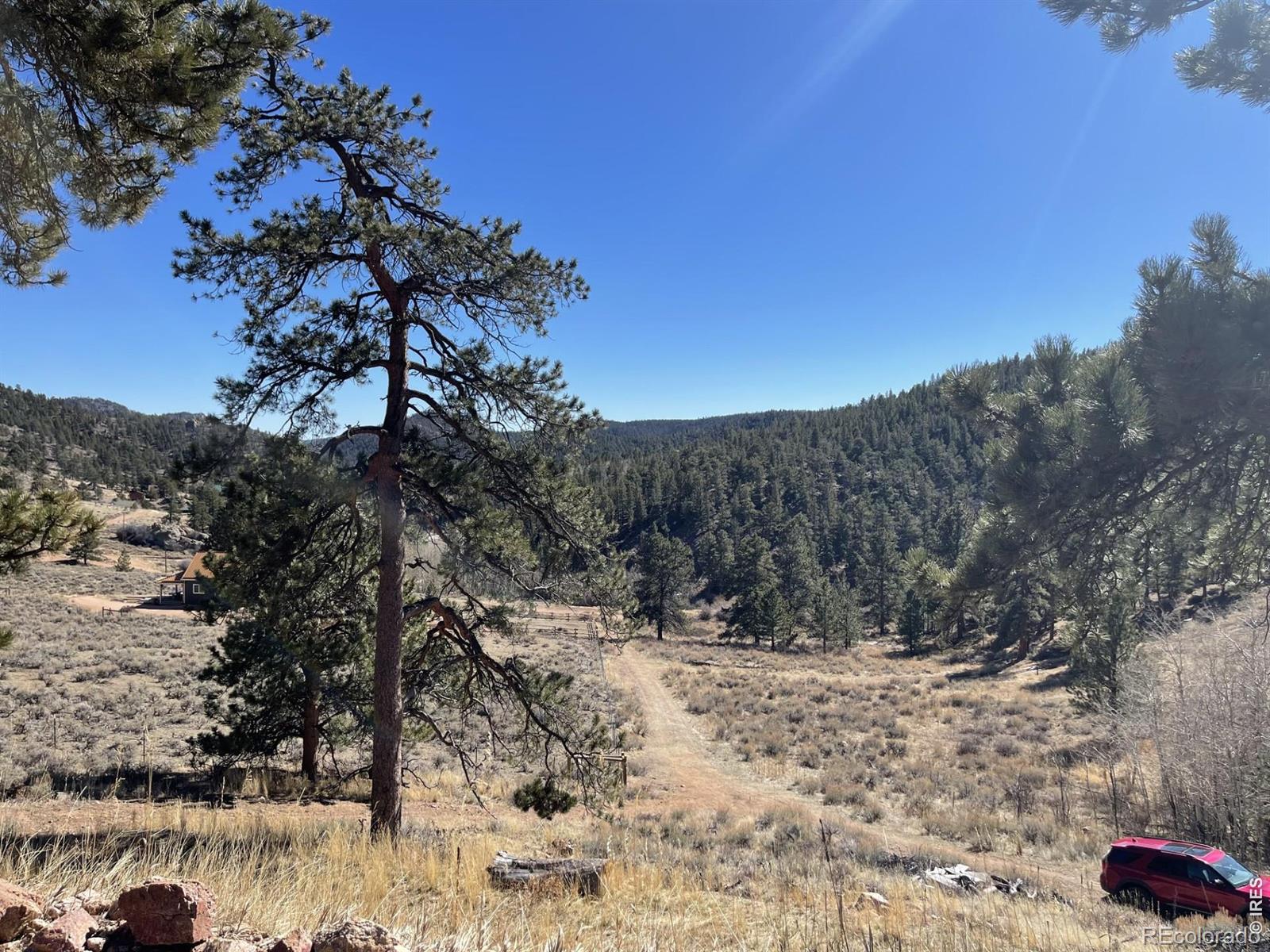 1018 Beartrap Road Red Feather Lakes CO 80545
