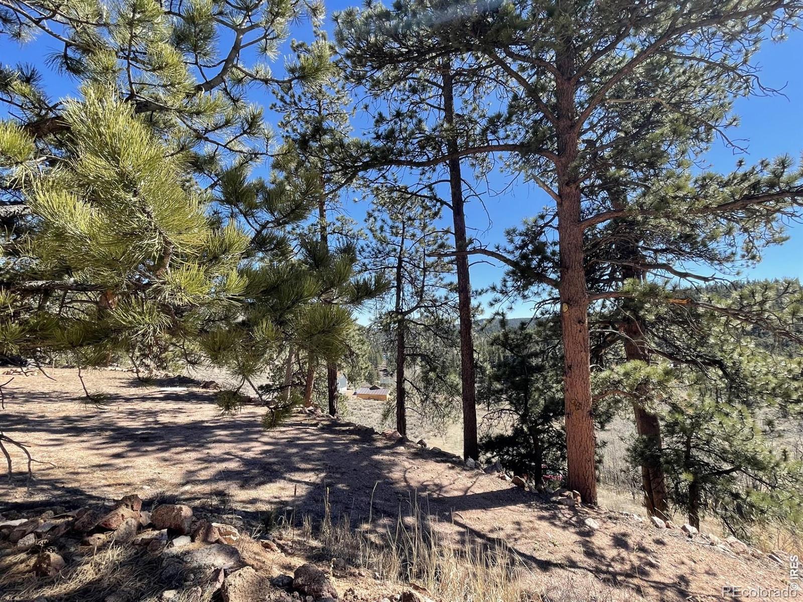 1018 Beartrap Road Red Feather Lakes CO 80545