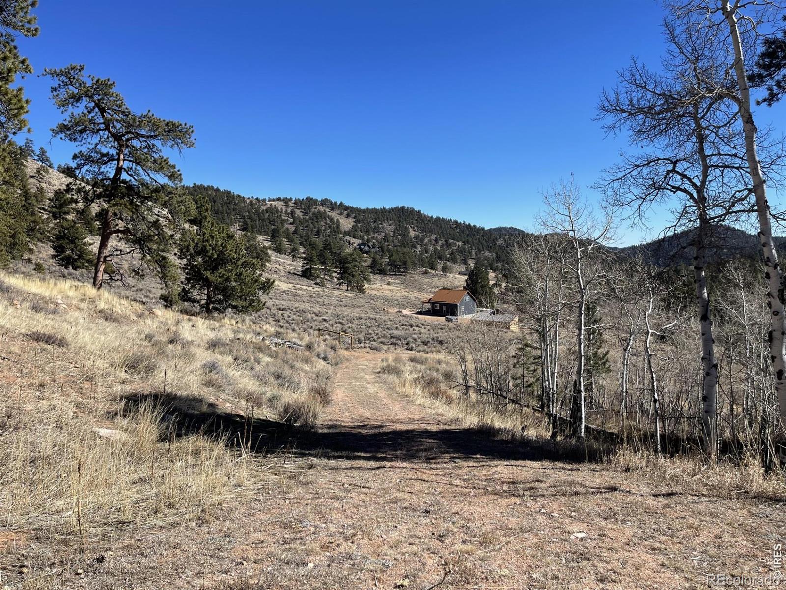 1018 Beartrap Road Red Feather Lakes CO 80545