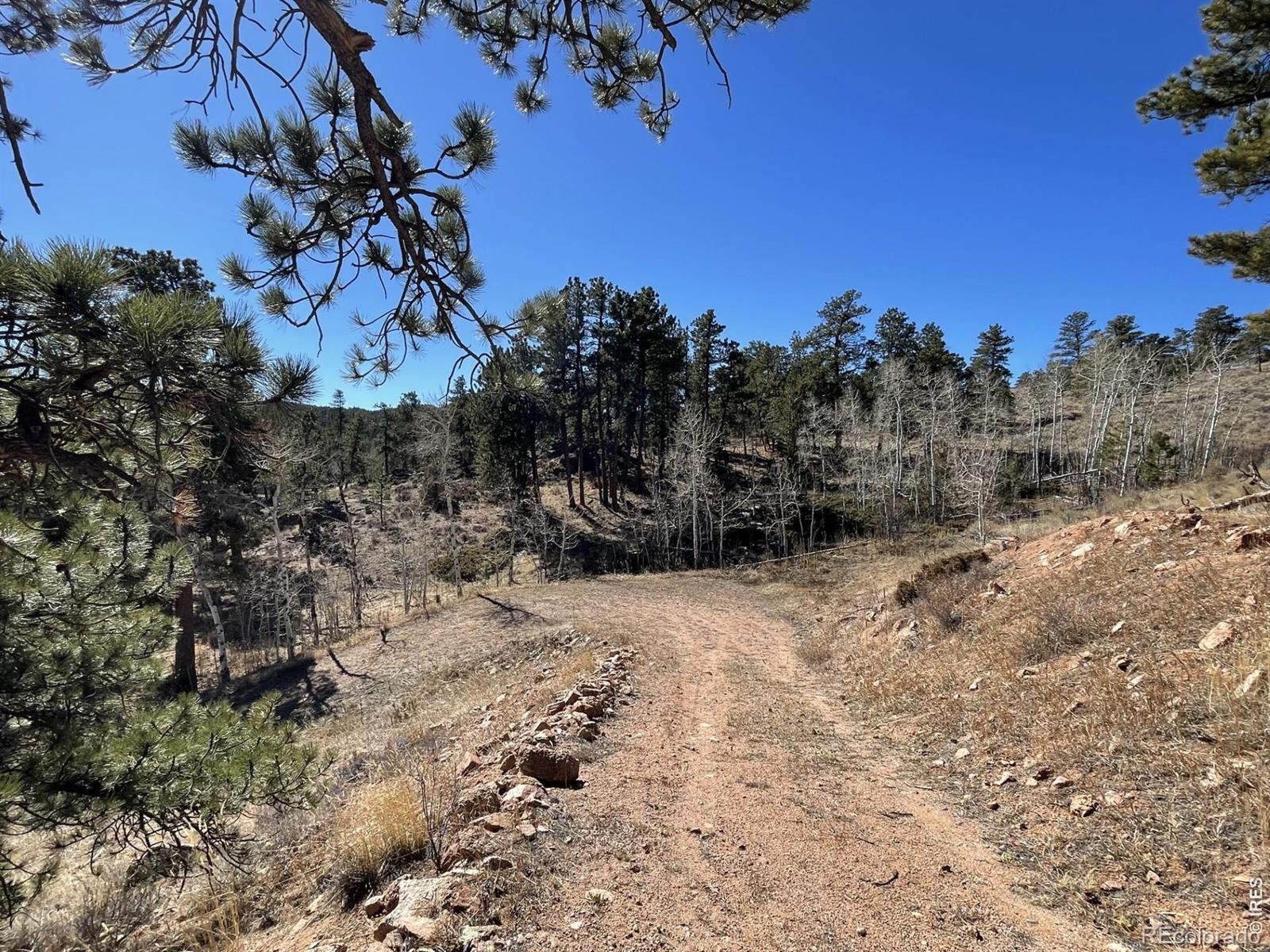 1018 Beartrap Road Red Feather Lakes CO 80545