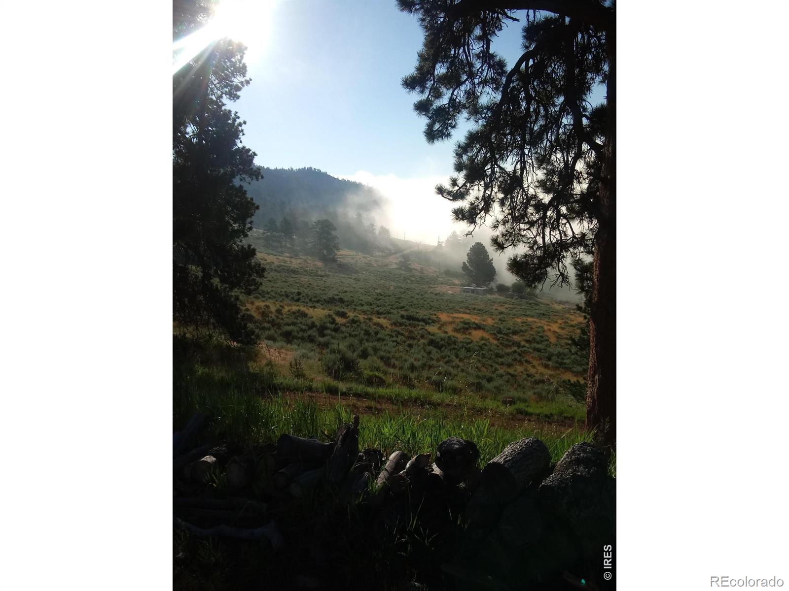 1018 Beartrap Road Red Feather Lakes CO 80545