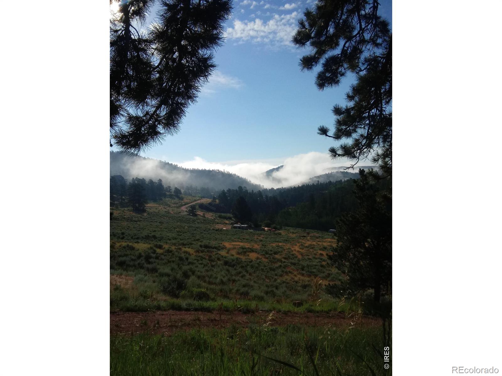 1018 Beartrap Road Red Feather Lakes CO 80545