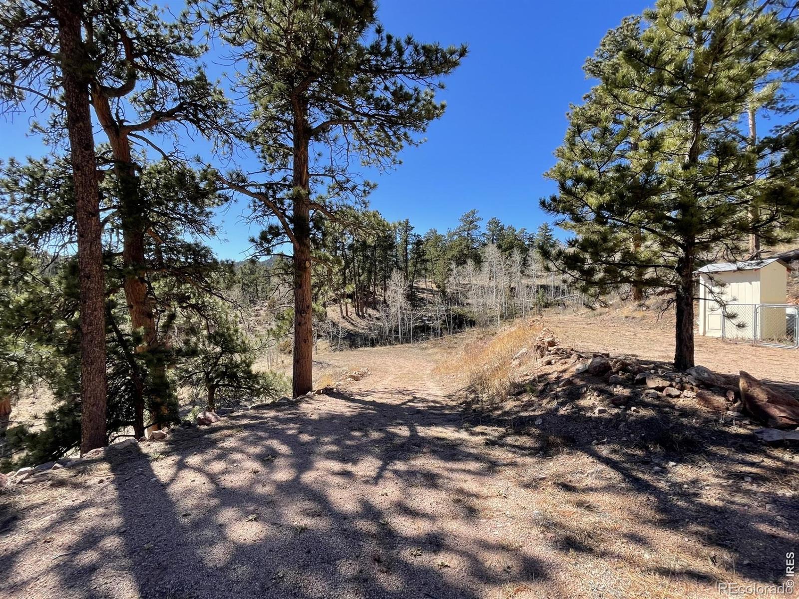 1018 Beartrap Road Red Feather Lakes CO 80545