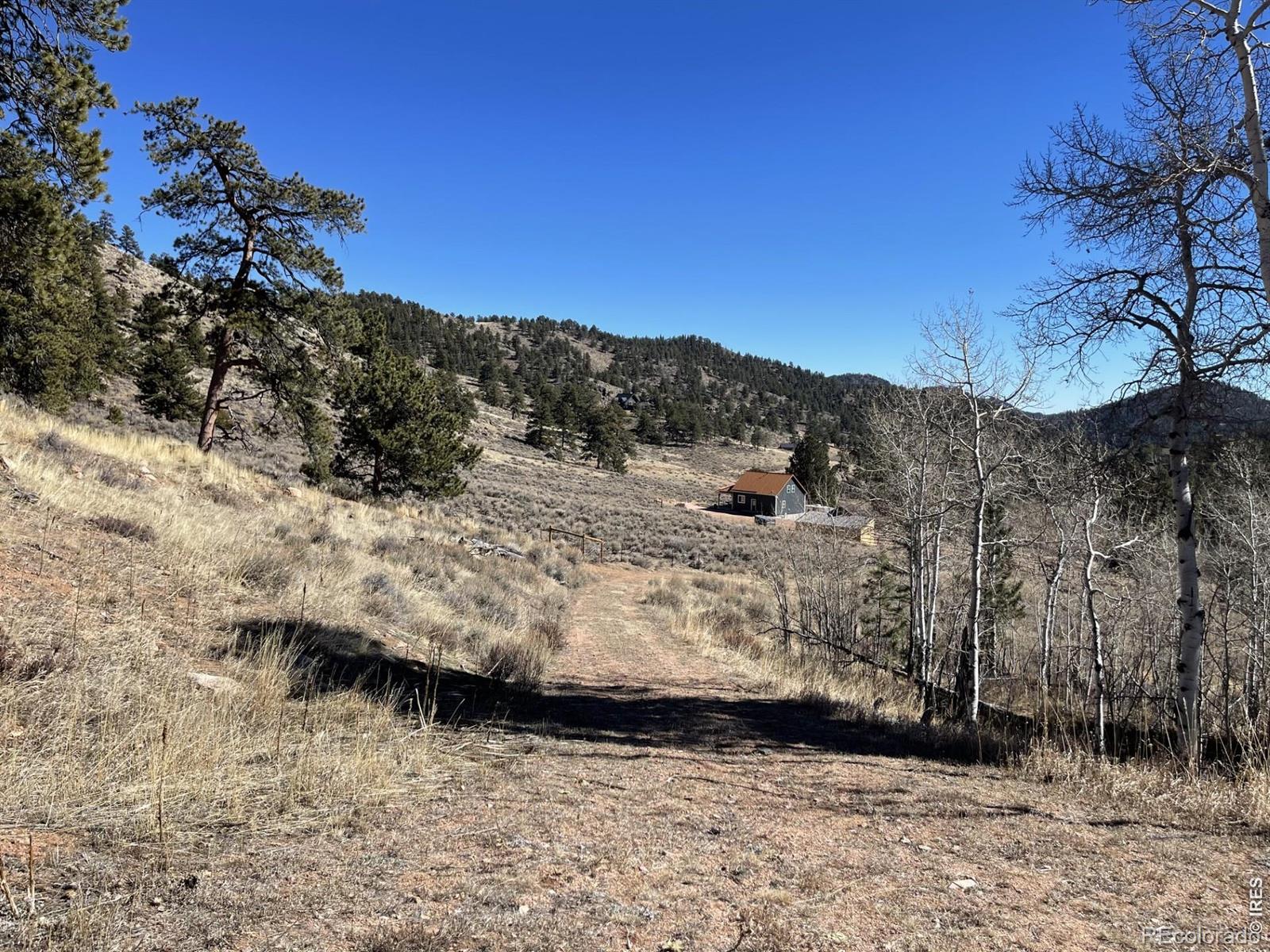 1018 Beartrap Road Red Feather Lakes CO 80545