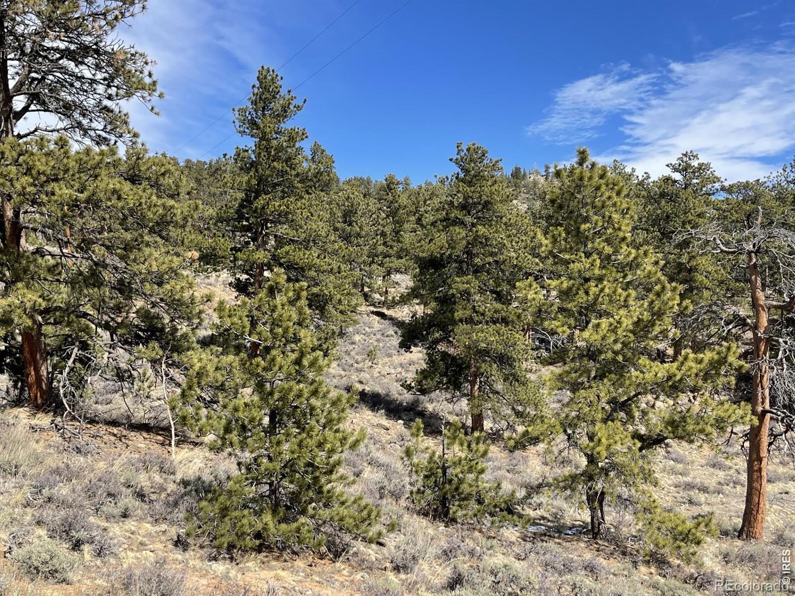 1018 Beartrap Road Red Feather Lakes CO 80545