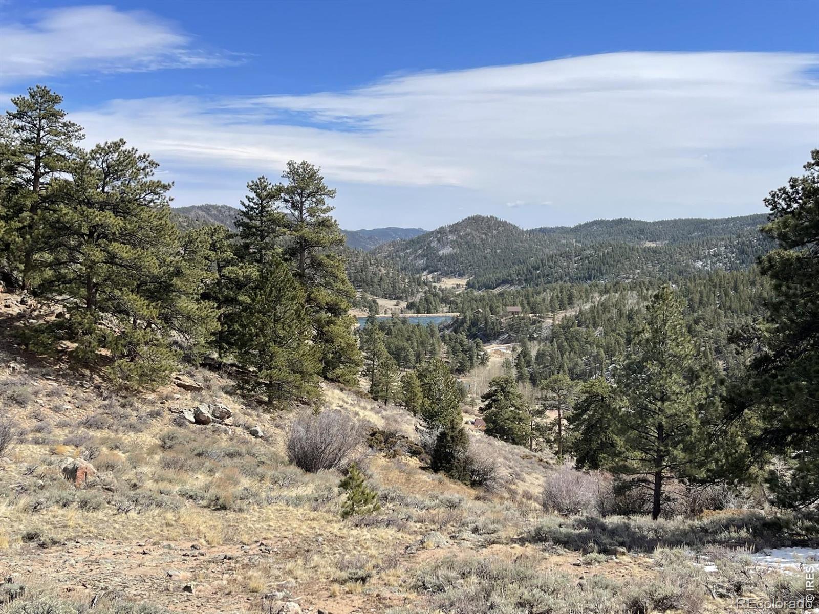 1018 Beartrap Road Red Feather Lakes CO 80545