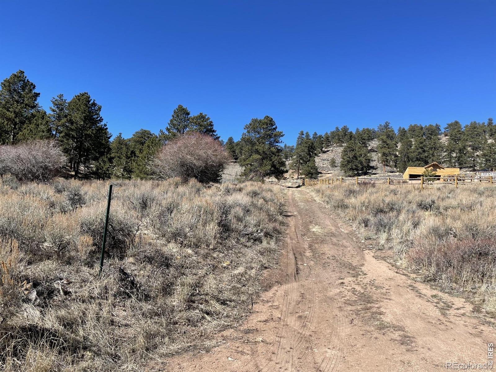 1018 Beartrap Road Red Feather Lakes CO 80545