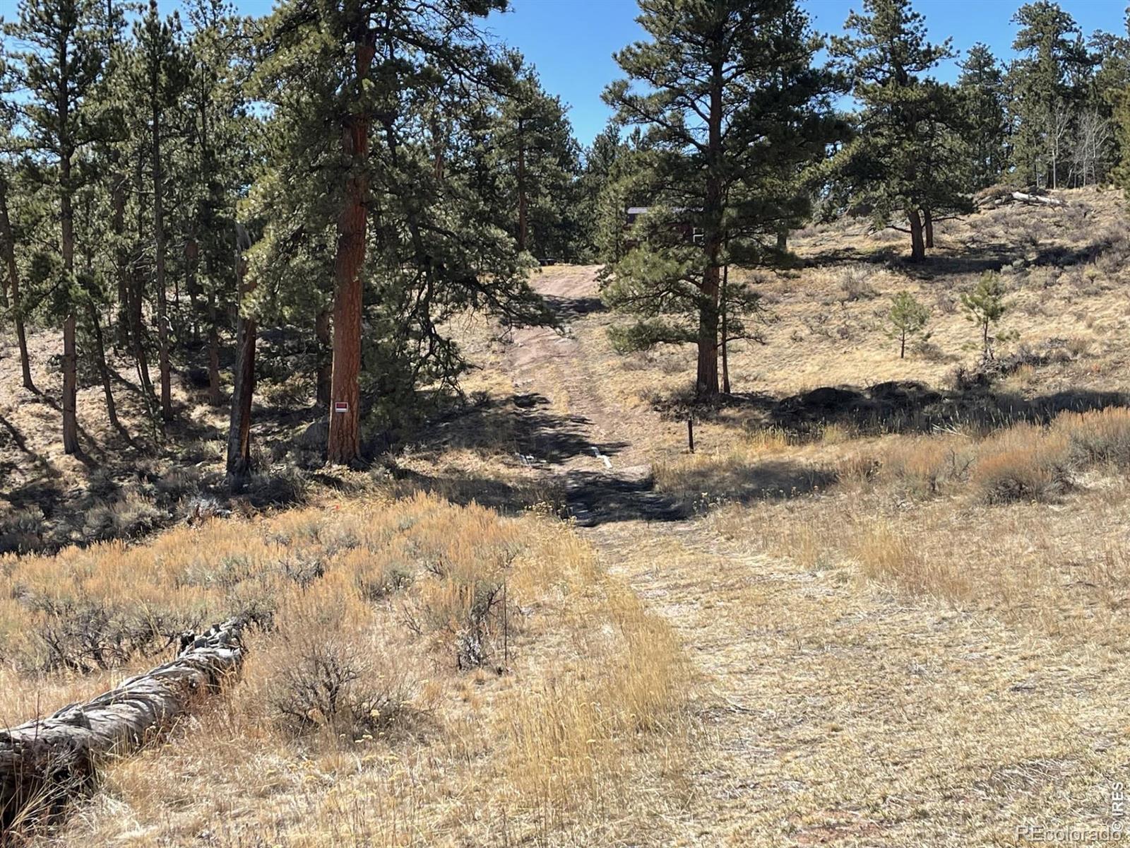 1018 Beartrap Road Red Feather Lakes CO 80545