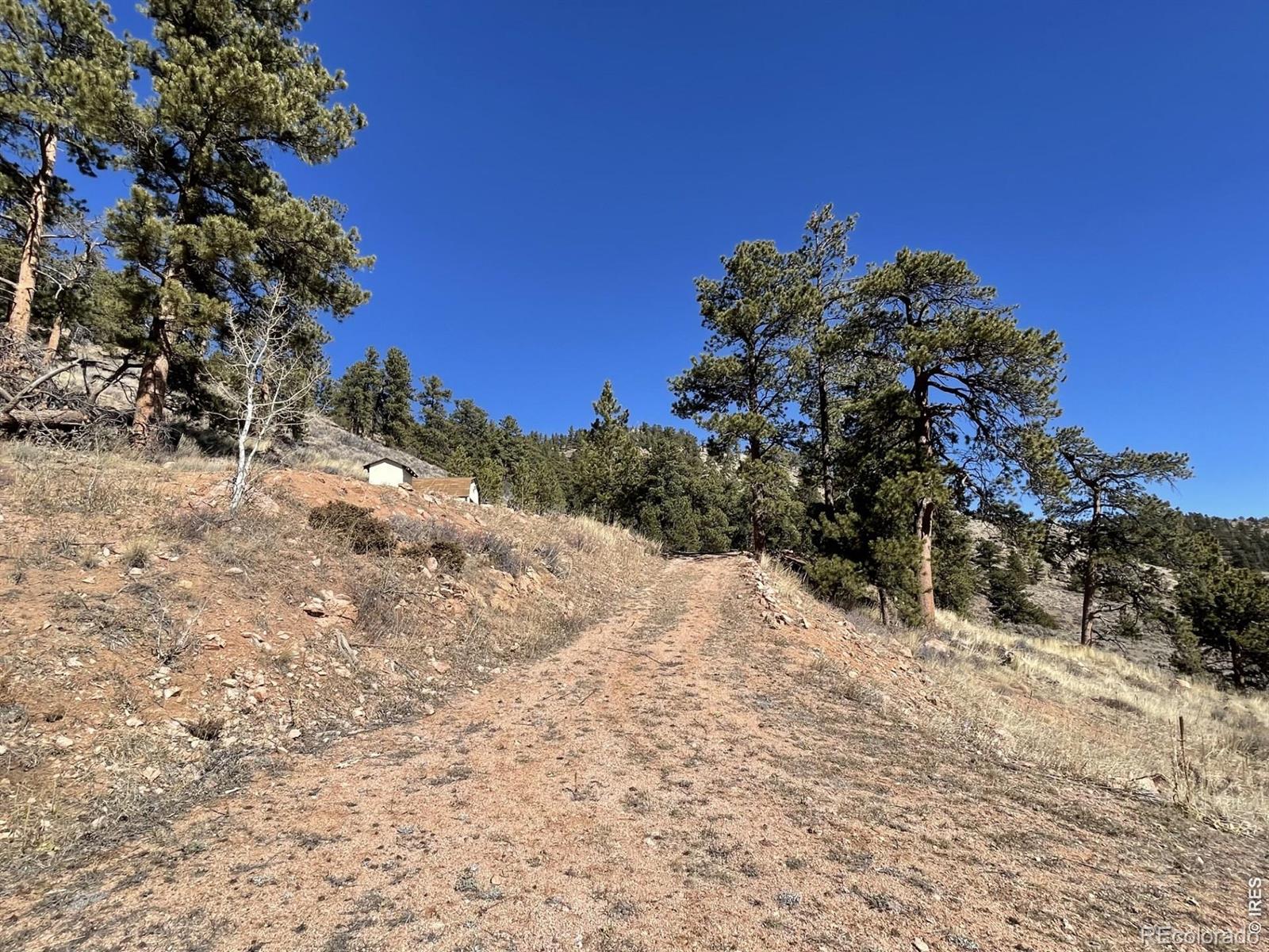 1018 Beartrap Road Red Feather Lakes CO 80545
