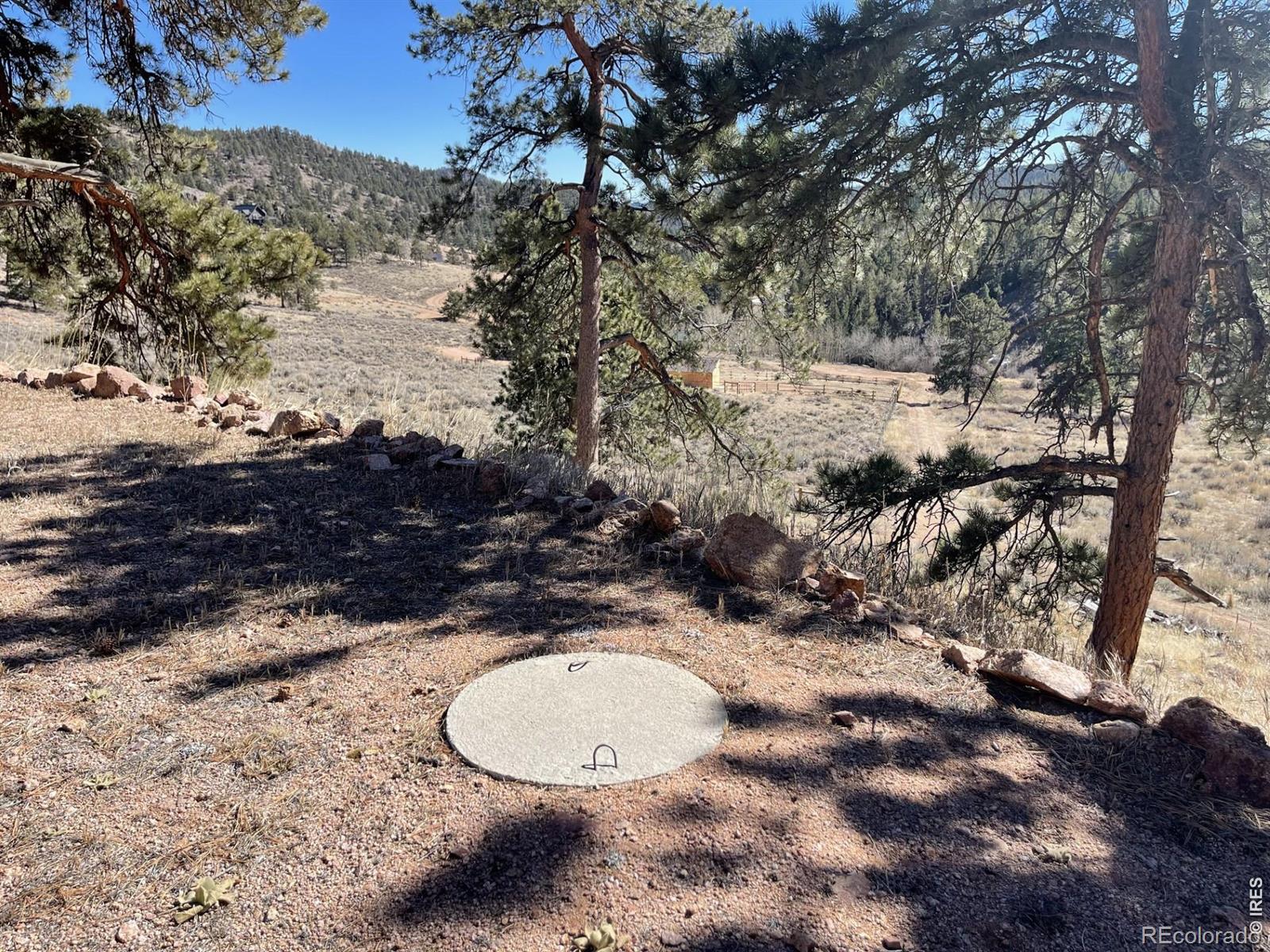 1018 Beartrap Road Red Feather Lakes CO 80545