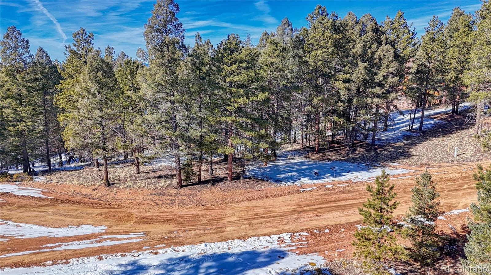 79 Huntsman Circle Florissant CO 80816