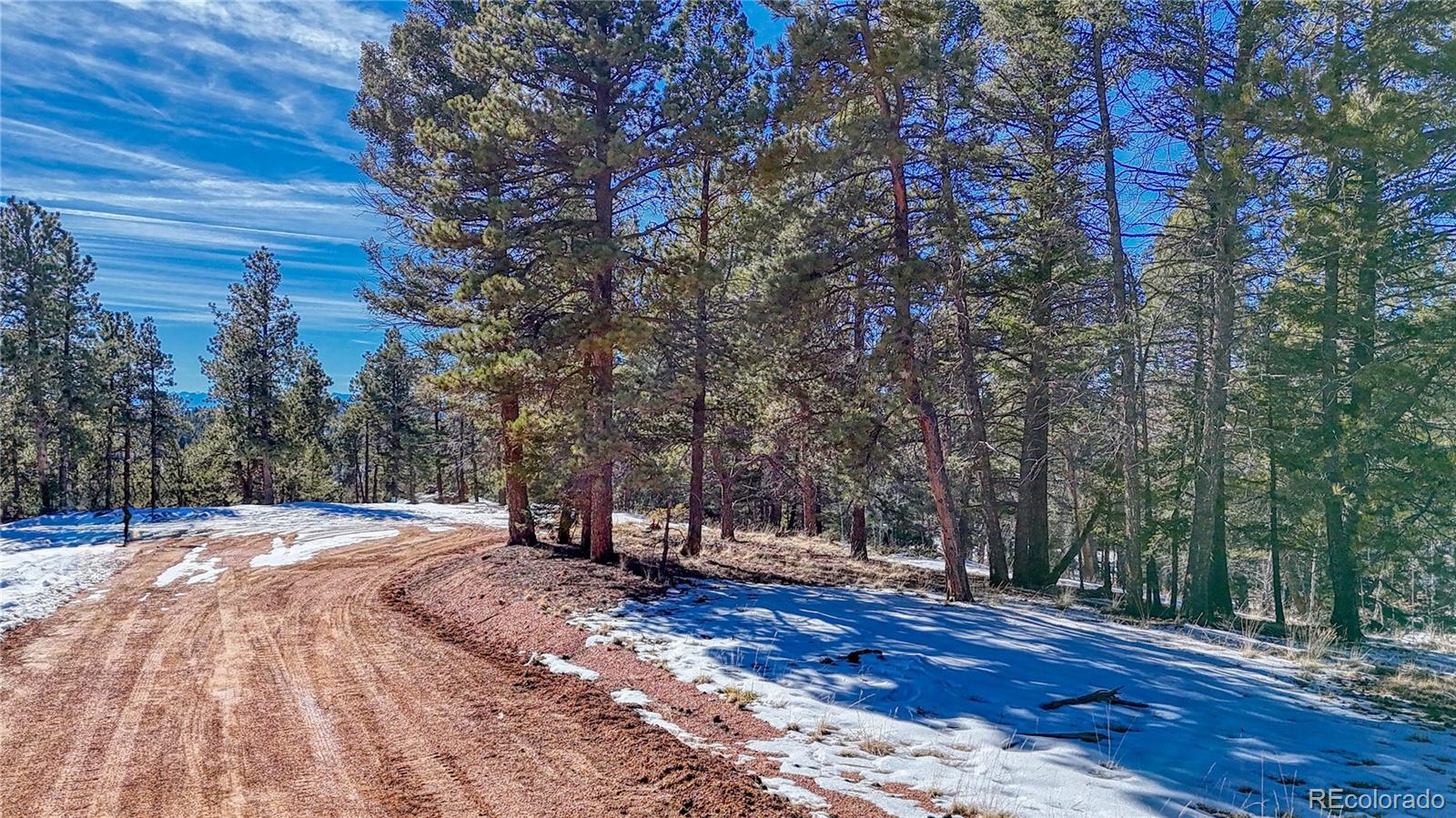 79 Huntsman Circle Florissant CO 80816