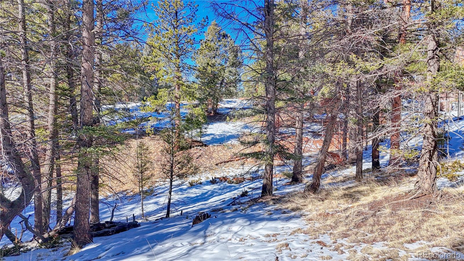 79 Huntsman Circle Florissant CO 80816