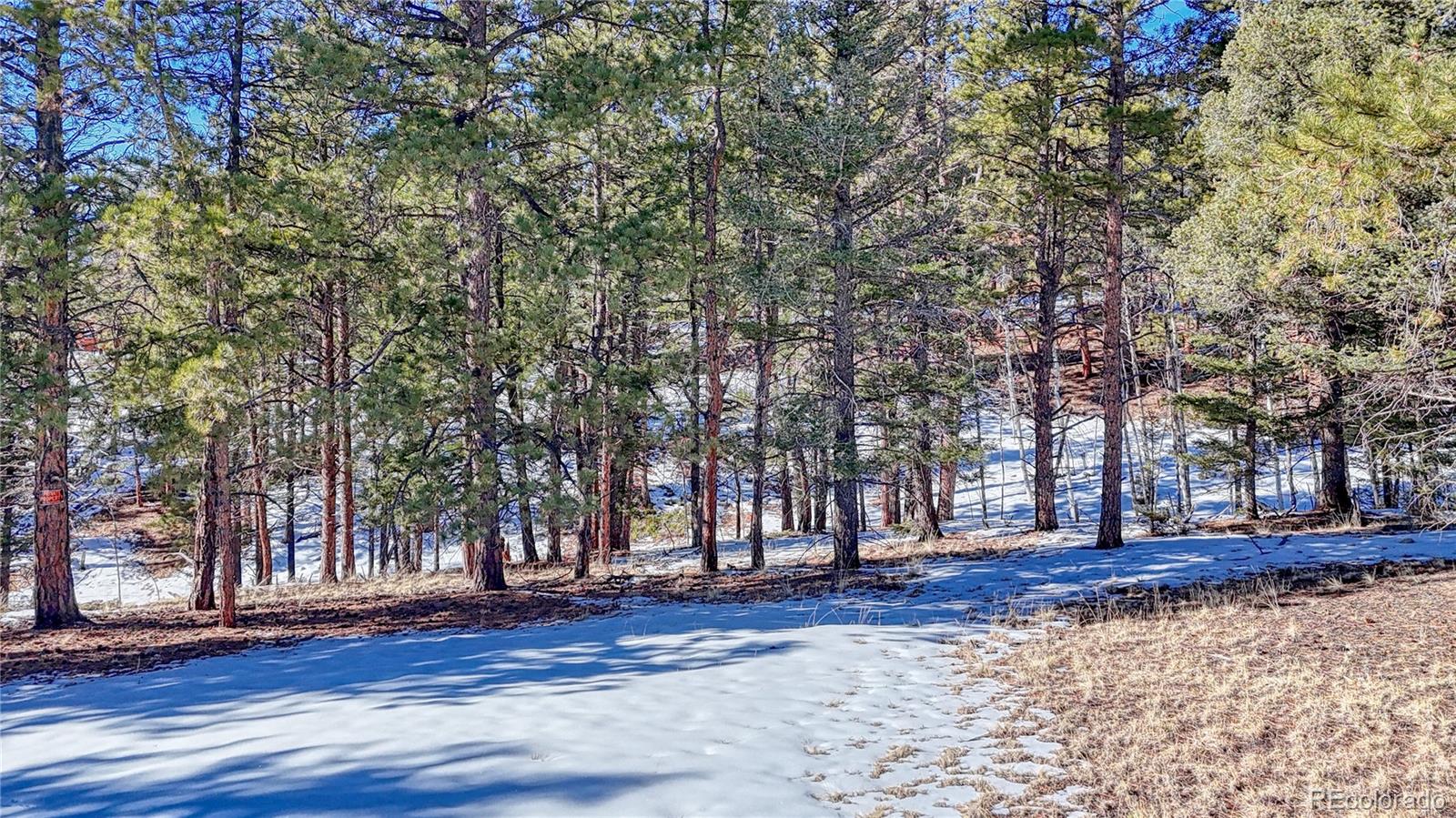 79 Huntsman Circle Florissant CO 80816