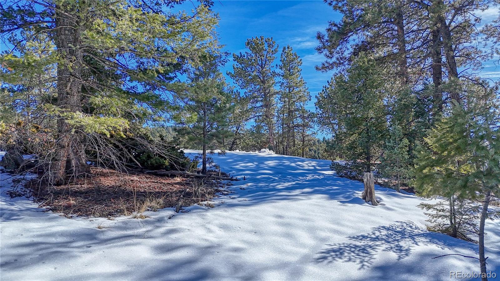 79 Huntsman Circle Florissant CO 80816